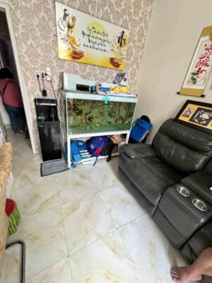 Nhà hẻm đường vĩnh viễn quận 10