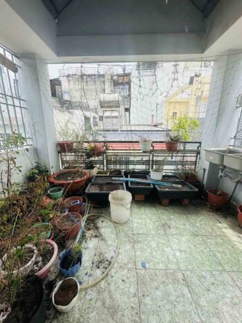 Hình ảnh thực tế sân thượng nhà hẻm xe ô tô đường nguyễn ngọc lộc quận 10