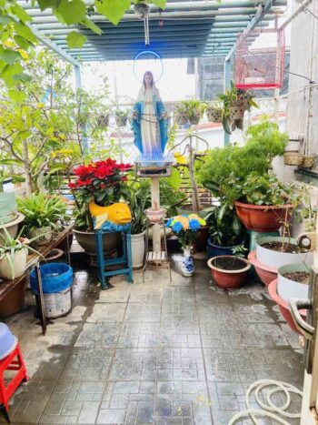 Hình ảnh thực tế sân thượng nhà hẻm xe ô tô đường bà hạt quận 10