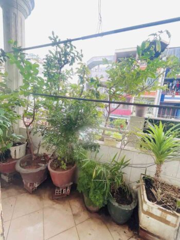 Nhà hẻm đường nhật tảo quận 10